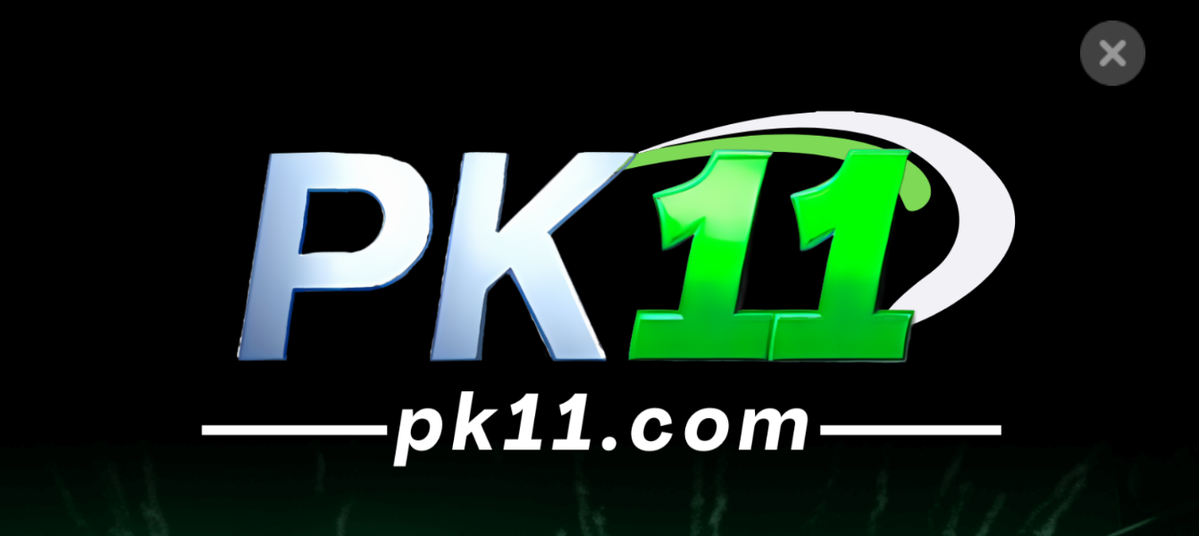 PK11 Game